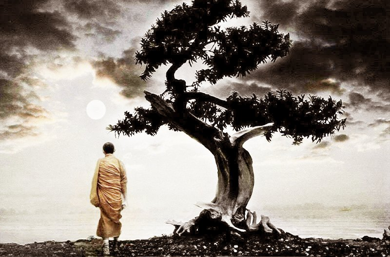 Tha nhân là địa ngục 2