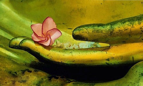 Ý nghĩa và nội dung của thập nhị nhân duyên 4