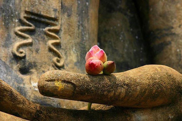 Chính niệm là gì? Vì sao bạn cần chính niệm? 3