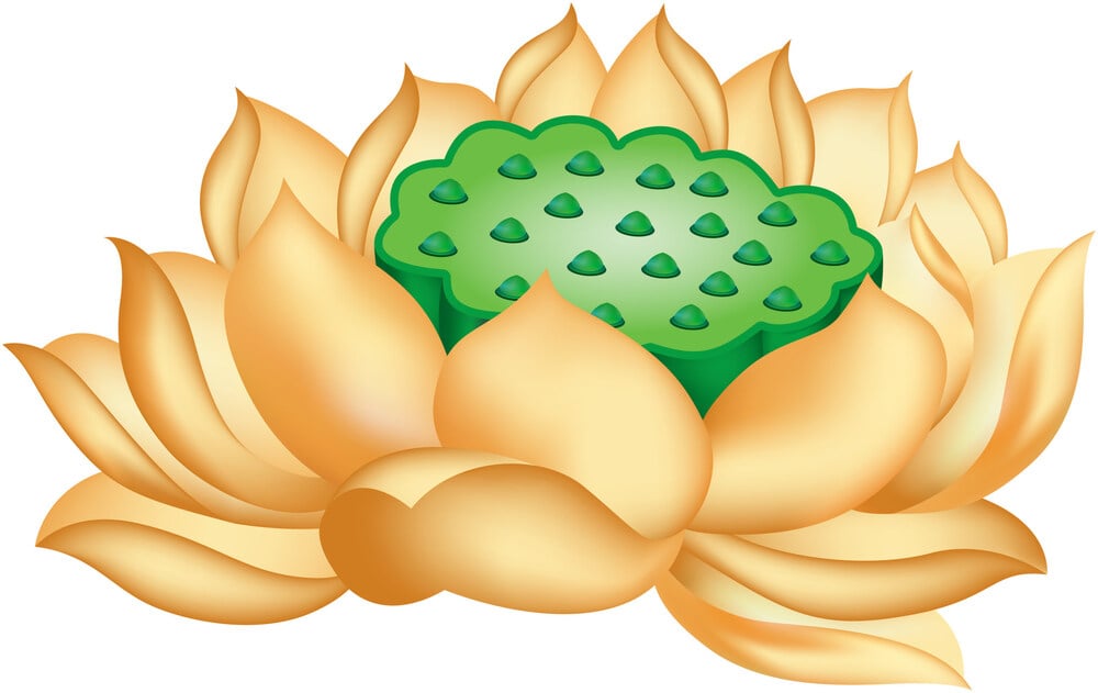 Thế nào là tu phước? 1