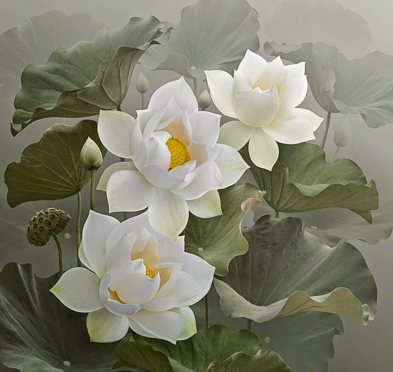 Lắng nghe để hiểu, nhìn lại để thương 2