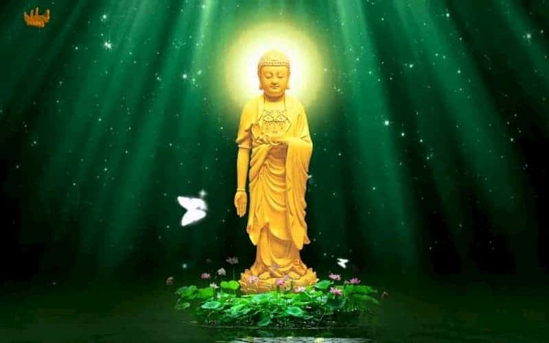 Những việc gia đình cần làm để người mất được lợi ích 3