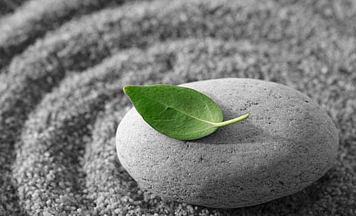 Kinh Vô Thường 1