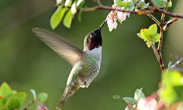 Học cách tích đức từ trong cuộc sống hằng ngày 3