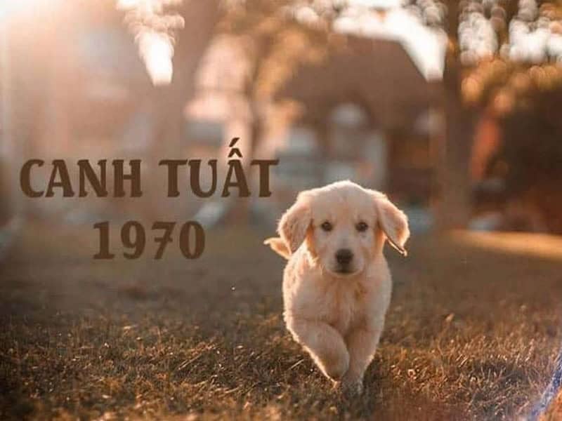 tong quan nam nay co gi dang luu y doi voi tuoi tuat 1970