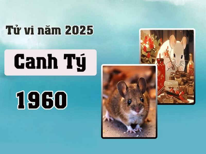 tong quan thong tin chung tu vi tuoi canh ty nam 2025 nam mang