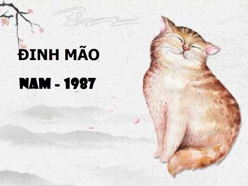 tong quan tu vi tuoi dinh mao nam 2025 nam mang 1