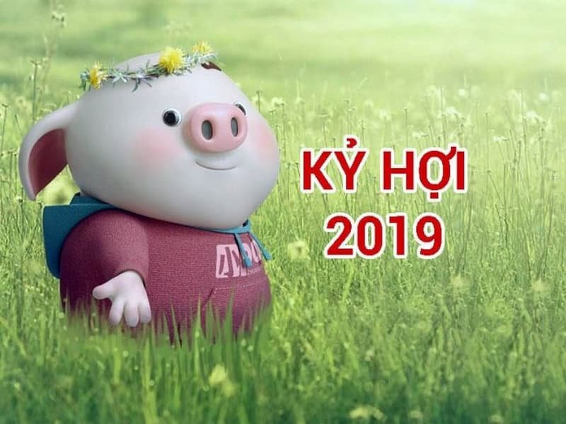 tong quan tu vi tuoi ky hoi nam 2025 nu mang co gi dac biet 1