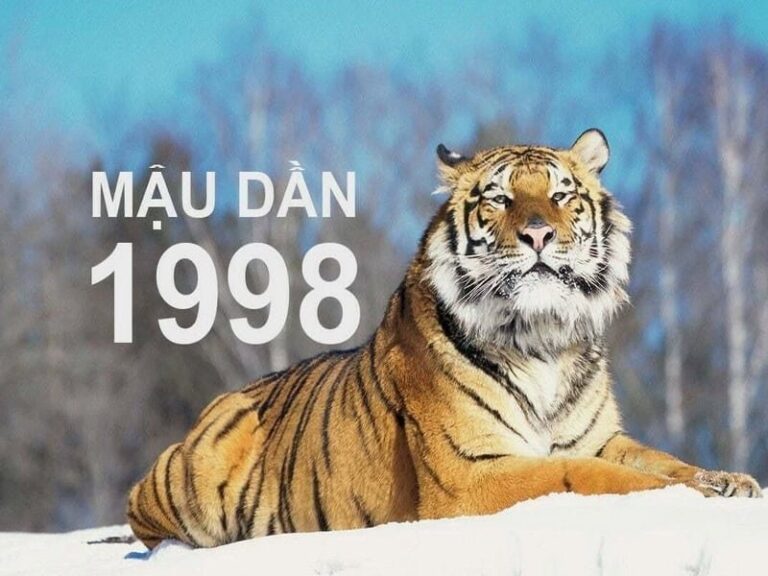 tong quan tu vi tuoi mau dan nam 2025 nam mang 1