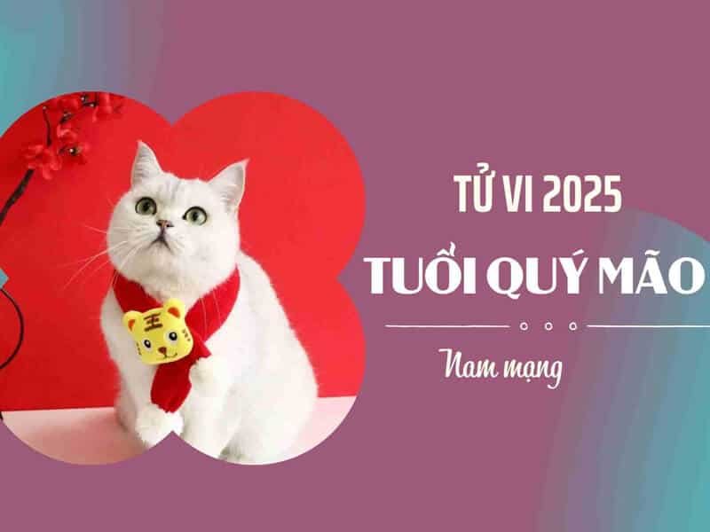 tong quan tu vi tuoi quy mao nam 2025 nam mang 1