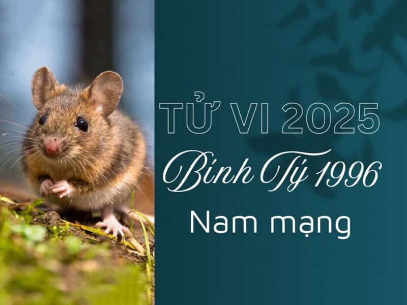 van menh nam binh ty nam 2025 tuong doi on dinh va duoc sao tot chieu menh