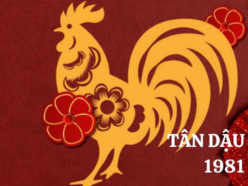 tong the tu vi tuoi tan dau nam 2026 nu mang co chuyen bien nao noi bat