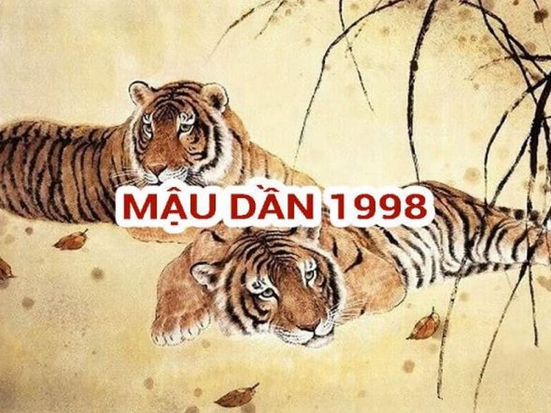 tong the van trinh ca nam cua nu mau dan dien bien ra sao