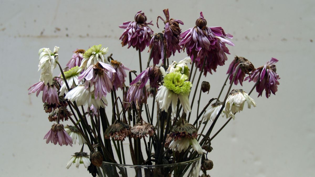 top 10 cach xa xui hieu qua buon may ban dat trong cong viec cuoc song 1