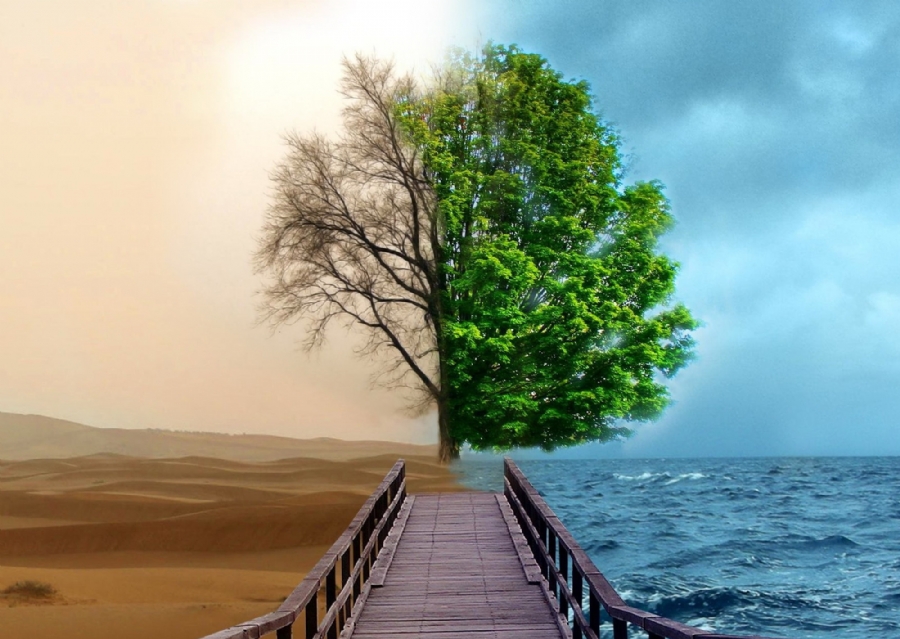 Cho nên có thể thấy, sống tri túc không nhất thiết phải chấp nhận một cuộc sống với điều kiện vật chất tạm bợ và như vậy không hề ngăn cản sự tiến lên hay “làm giàu” của mỗi cá nhân. Ảnh minh họa