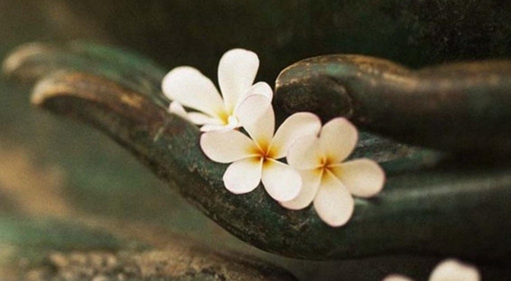 Hòa thượng Ấn Thuận: Bậc cao Tăng thời cận đại Phật giáo Trung Quốc 4