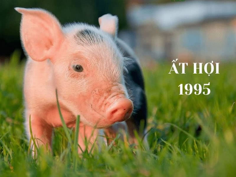 tu-vi-nam-2025-co-nhung-thach-thuc-va-co-hoi-nao tu vi nam 2025 co nhung thach thuc va co hoi nao