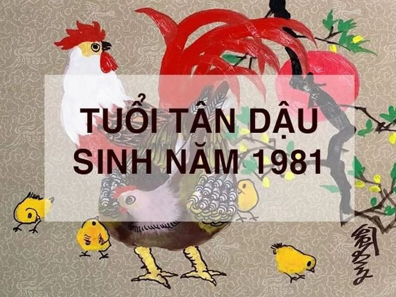 tu vi tron doi qua tung thoi ky cua 1981 menh thach luu moc
