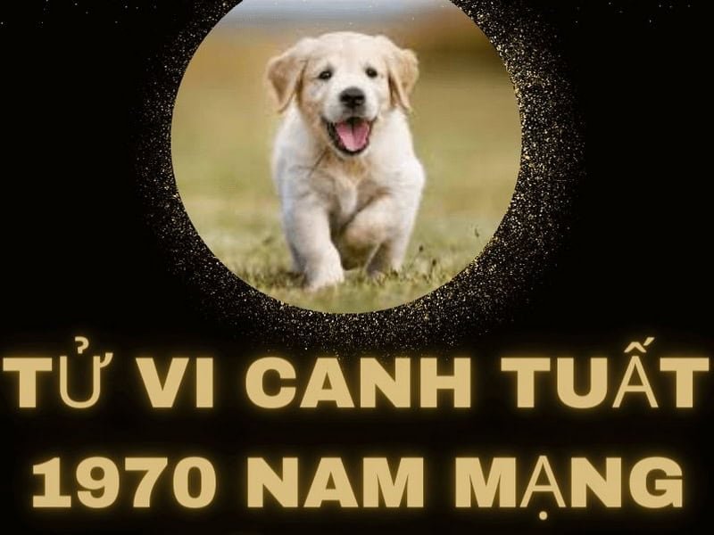 tu vi tuoi canh tuat nam 2025 nam mang co gap nhieu co hoi thuan loi khong 1