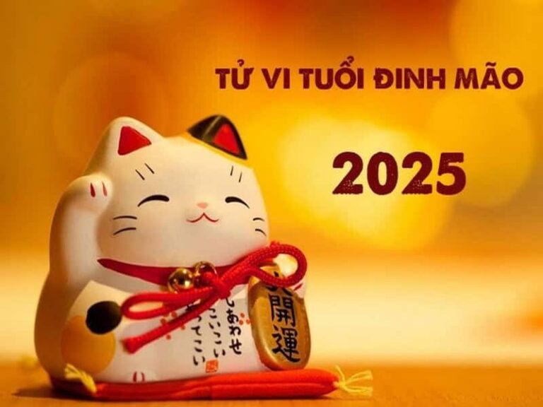 tu vi tuoi dinh mao nam 2025 nu mang co gi dang chu y 1