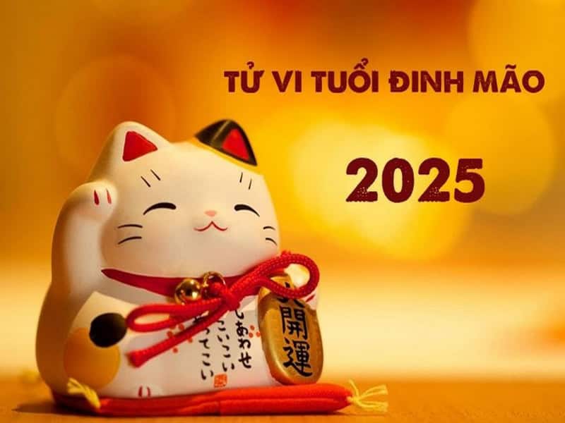 tu vi tuoi dinh mao nam 2025 nu mang co gi dang chu y