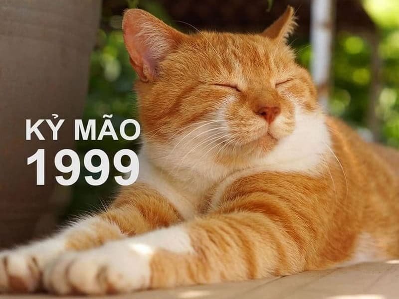 tu vi tuoi ky mao nam 2026 nu mang se co nhung thay doi gi noi bat 1