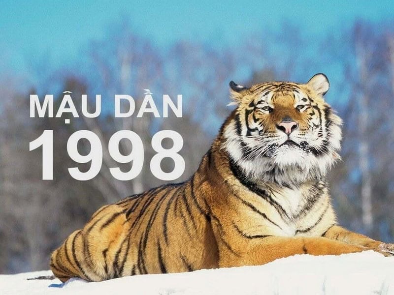 tu vi tuoi mau dan nam 2026 nu mang se co buoc ngoat gi dang chu y