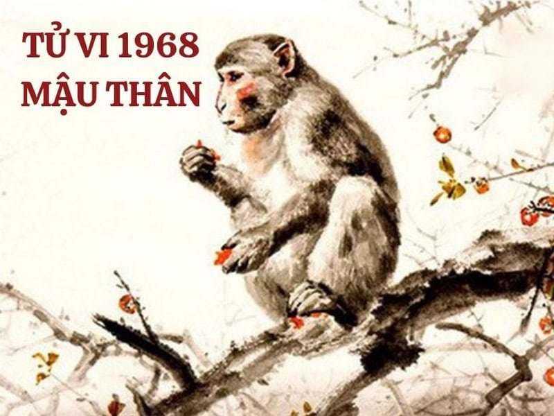 tu vi tuoi mau than nam 2025 nam mang gap van menh gi dang chu y 1