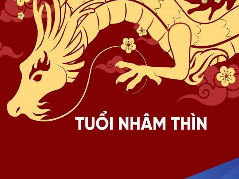 tu vi tuoi nham thin nam 2025 nu mang co van trinh ra sao