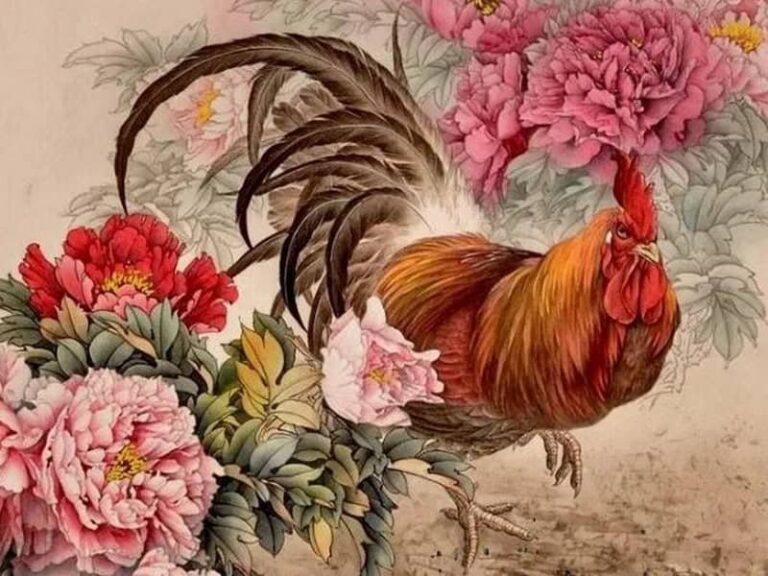 tu vi tuoi quy dau nam 2026 nu mang bien dong nao noi bat 1