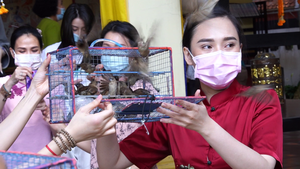 tu vien nhu giac trang nghiem khai dan duoc su cau an 4 0910 1