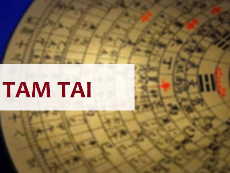 tuoi canh tuat nam at ty 2025 co roi vao han tam tai khong