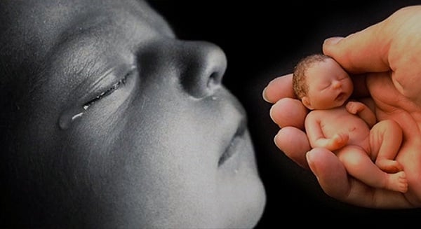 Phật dạy 10 điều khiến chúng sinh bị quả báo mạng sống ngắn ngủi (II) 2