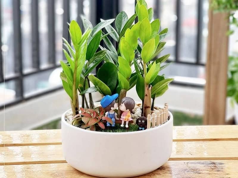 vat pham phong thuy nao ho tro su nghiep cua tuoi thin 1976