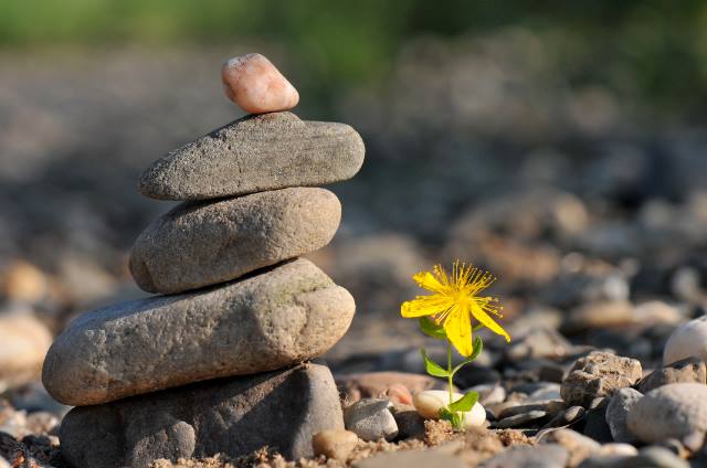 Tam Pháp Ấn là gì? 5