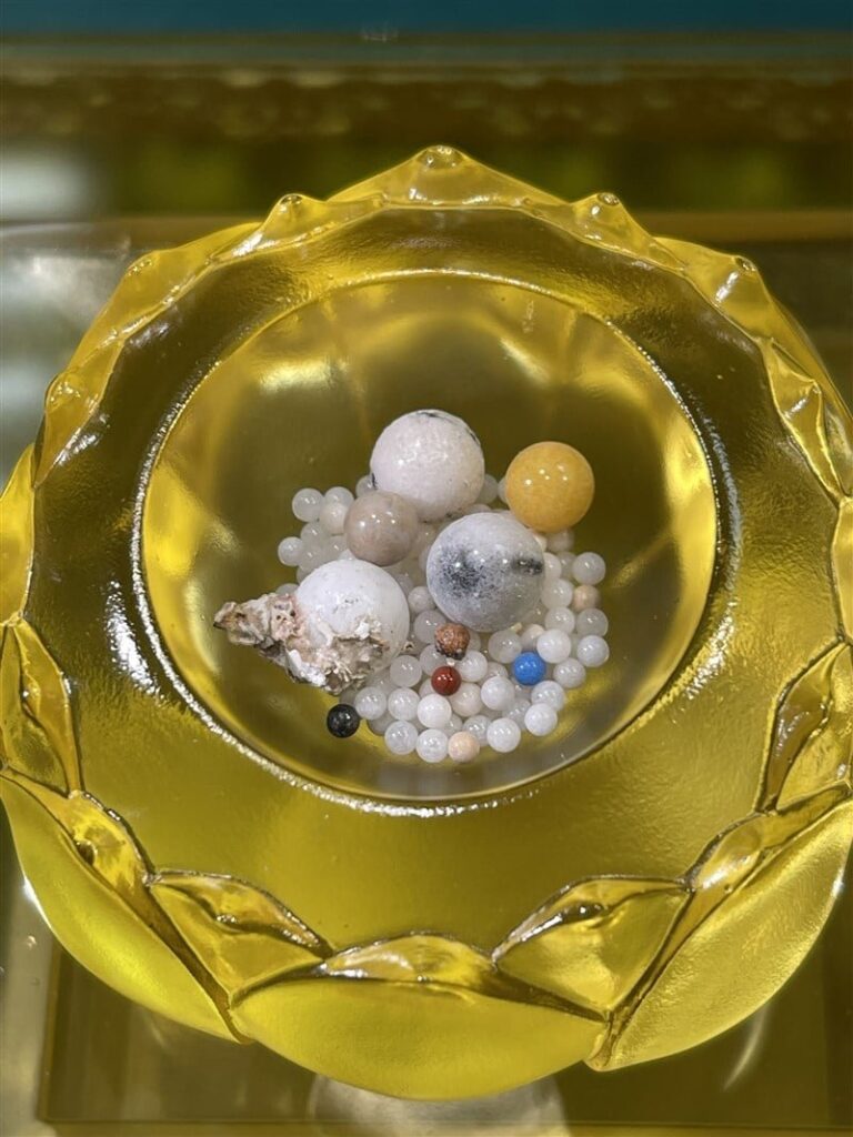 xa loi cua hoa thuong tinh van 1319 1