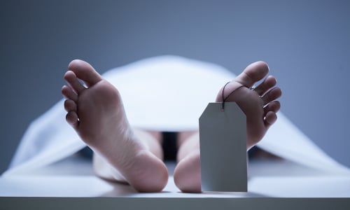 TS Vũ Thế Khanh hướng dẫn cách tính ngày giờ mất phạm trùng tang 3