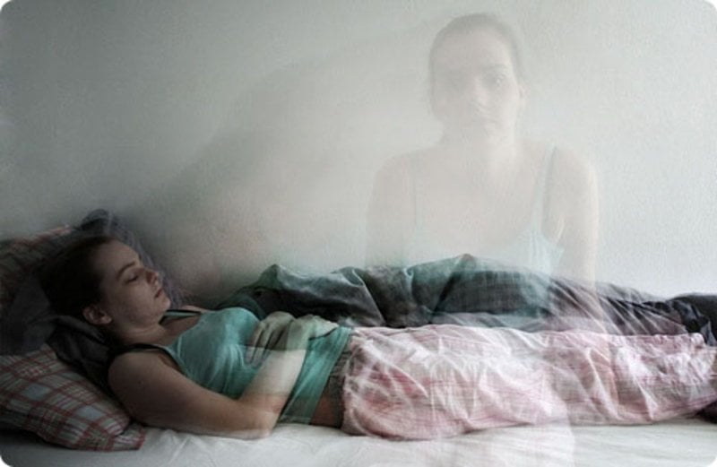 Hương linh là gì? Đời sống của hương linh thế nào? 2