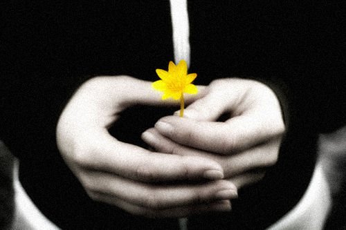 Hạnh phúc đích thực: Định nghĩa và cách tìm kiếm 2 ahanhphuc 265342585 1111 1