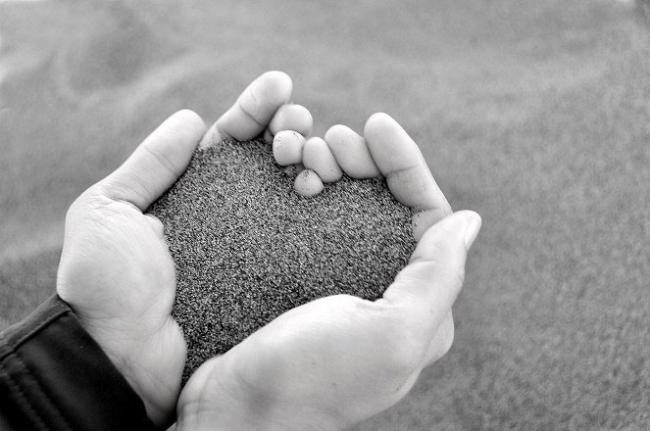 chiudung-1111 Hạnh phúc đích thực là gì? 2