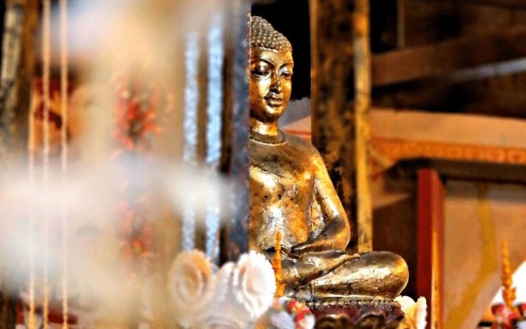 chung sinh la gi tai sao lai goi la chung sinh 1943 1