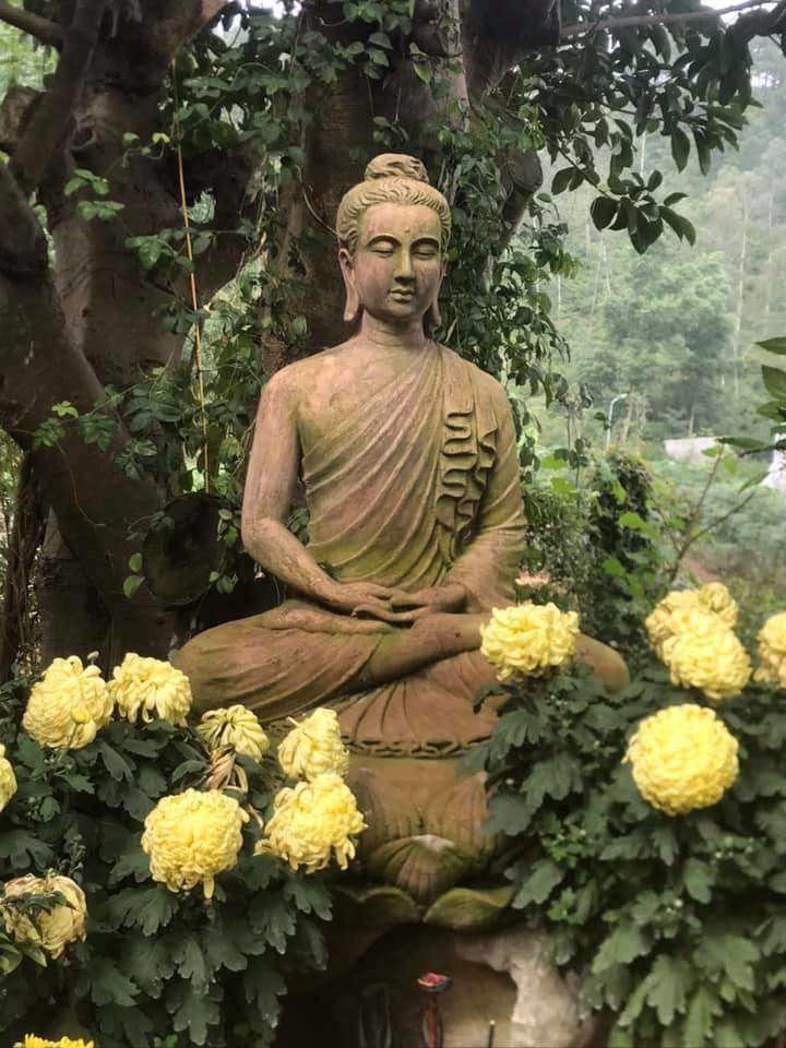 Cần hiểu đúng về nhân quả nghiệp báo 4