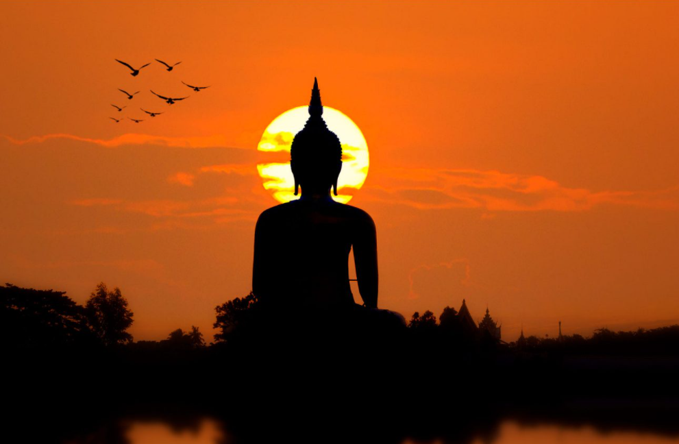 Phóng sinh được phước báu 1