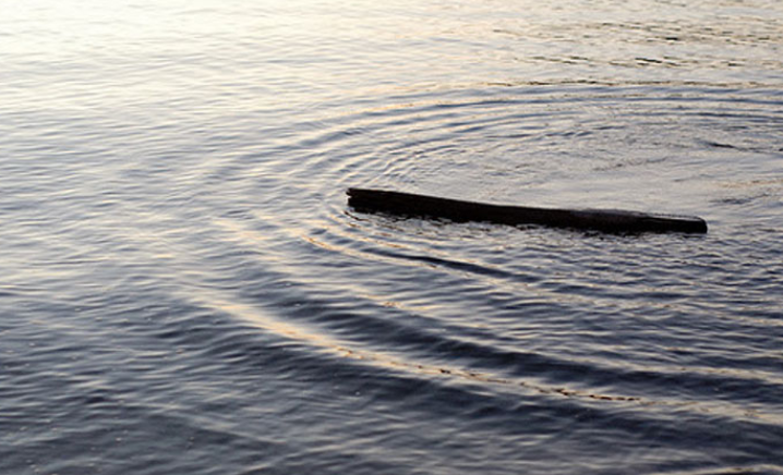 Pháp thoại của Đức Phật từ khúc gỗ trôi sông 2