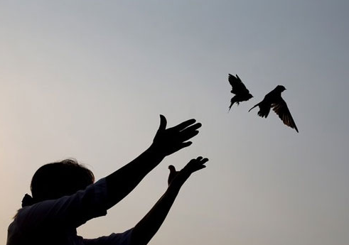 Phóng sinh được phước báu 2