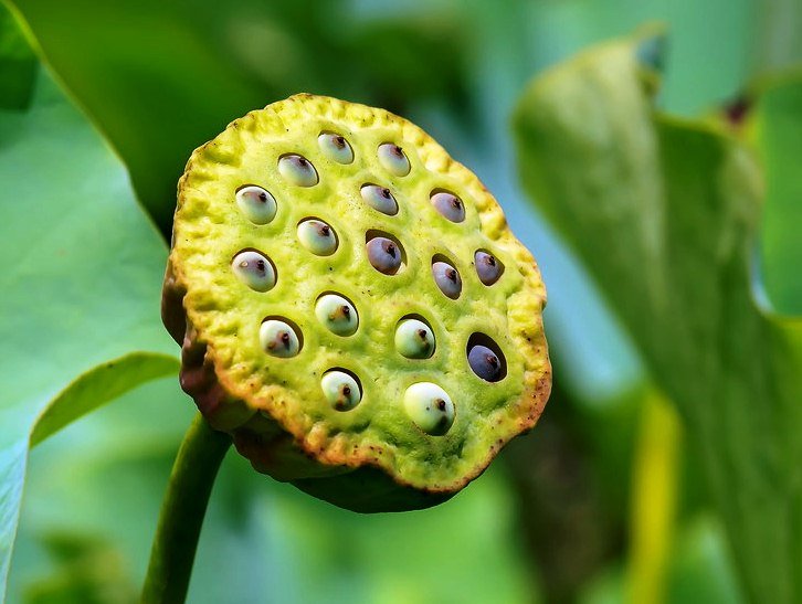 Hiểu rõ luật nhân quả để có một cuộc sống an bình, ý nghĩa 3